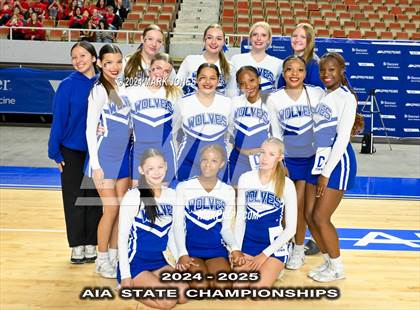 Thumbnail 3 in Game Day and Stunt Championships (AIA Division I and II Awards) photogallery.