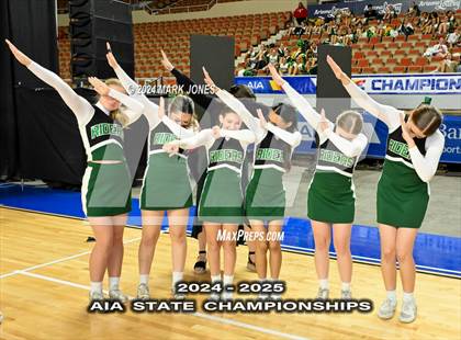 Thumbnail 2 in Game Day and Stunt Championships (AIA Division I and II Awards) photogallery.