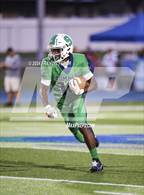 Photo from the gallery "Strawberry Crest @ Sumner"