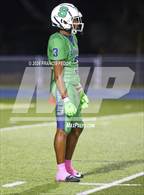 Photo from the gallery "Strawberry Crest @ Sumner"