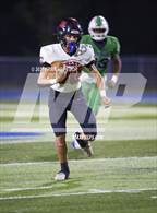 Photo from the gallery "Strawberry Crest @ Sumner"