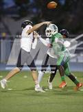 Photo from the gallery "Strawberry Crest @ Sumner"