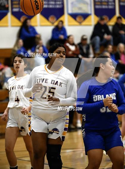 Thumbnail 3 in Orland @ Live Oak photogallery.