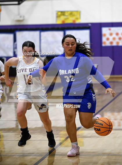 Thumbnail 2 in Orland @ Live Oak photogallery.