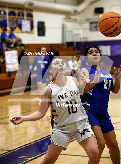 Thumbnail 3 in Orland @ Live Oak photogallery.