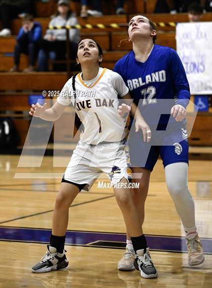 Thumbnail 1 in Orland @ Live Oak photogallery.