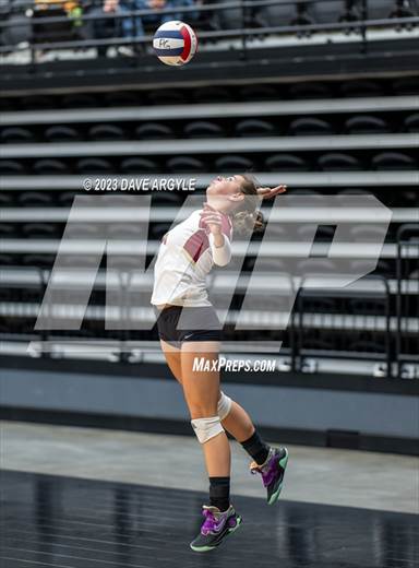 null - Photo 51
