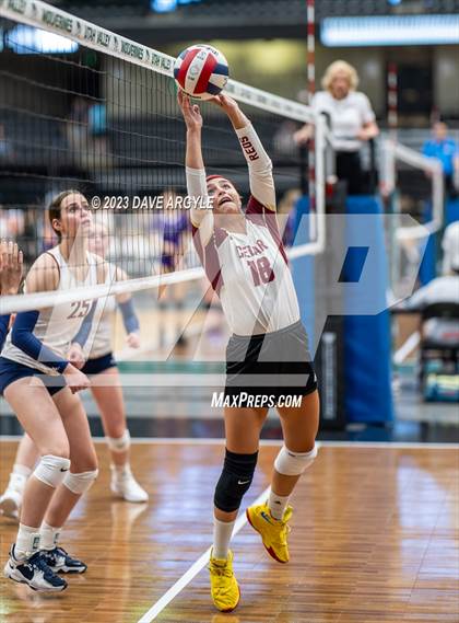 Thumbnail 3 in Cedar vs. Springville (Utah Valley Invitational) photogallery.
