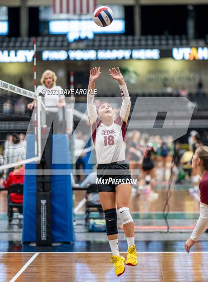 Thumbnail 3 in Cedar vs. Springville (Utah Valley Invitational) photogallery.