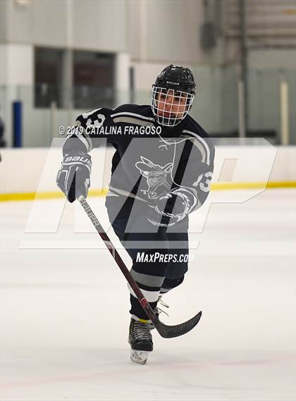 Thumbnail 1 in Howell @ Wayne Knights  photogallery.