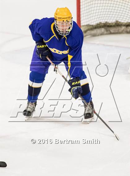 Thumbnail 1 in Williamsville South @ Lockport photogallery.