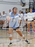 Photo from the gallery "Aragon @ Hillsdale"