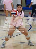 Photo from the gallery "Aragon @ Hillsdale"