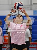 Photo from the gallery "Aragon @ Hillsdale"