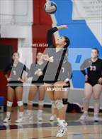 Photo from the gallery "Aragon @ Hillsdale"