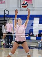 Photo from the gallery "Aragon @ Hillsdale"