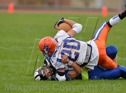 Thumbnail 1 in Livonia @ Haverling photogallery.