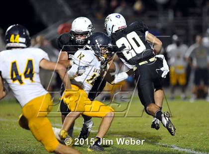Thumbnail 2 in Land O' Lakes @ Sunlake photogallery.