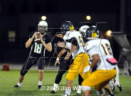 Thumbnail 3 in Land O' Lakes @ Sunlake photogallery.