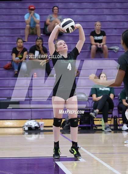 Thumbnail 1 in Clearfield @ Riverton photogallery.