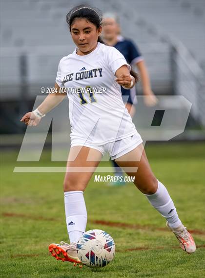 Thumbnail 1 in Lee County @ Terry Sanford photogallery.