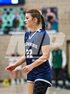 Photo from the gallery "Columbine @ Bear Creek"