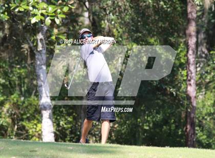 Thumbnail 1 in Central vs Springstead photogallery.