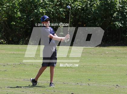 Thumbnail 3 in Central vs Springstead photogallery.