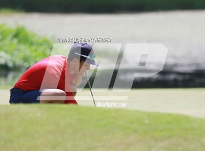 Thumbnail 1 in Central vs Springstead photogallery.