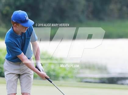 Thumbnail 1 in Central vs Springstead photogallery.