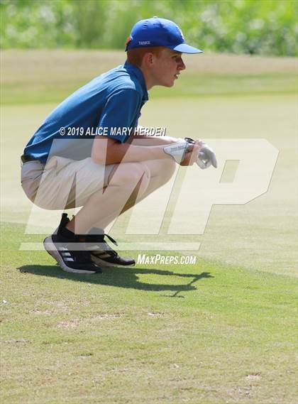 Thumbnail 2 in Central vs Springstead photogallery.