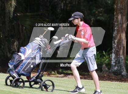 Thumbnail 1 in Central vs Springstead photogallery.