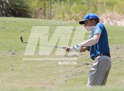 Thumbnail 1 in Central vs Springstead photogallery.