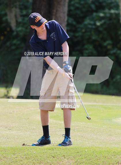 Thumbnail 1 in Central vs Springstead photogallery.