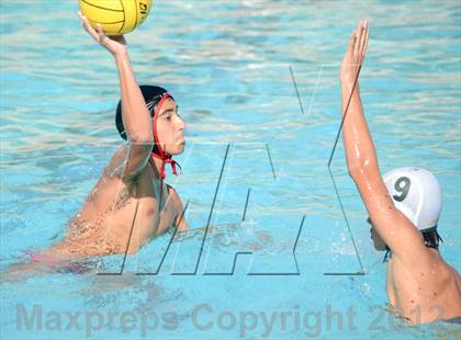 Thumbnail 1 in Livermore @ Logan photogallery.