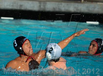 Thumbnail 3 in Livermore @ Logan photogallery.