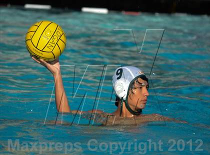 Thumbnail 1 in Livermore @ Logan photogallery.