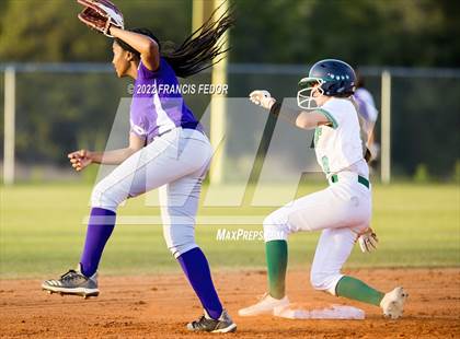 Thumbnail 3 in Spoto @ Sumner photogallery.