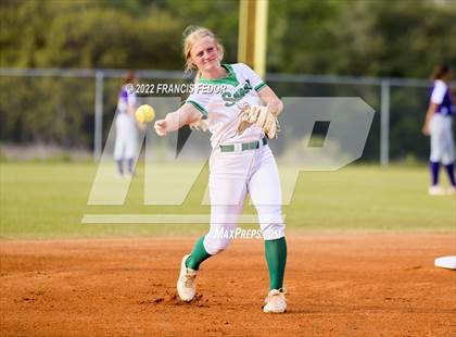 Thumbnail 3 in Spoto @ Sumner photogallery.