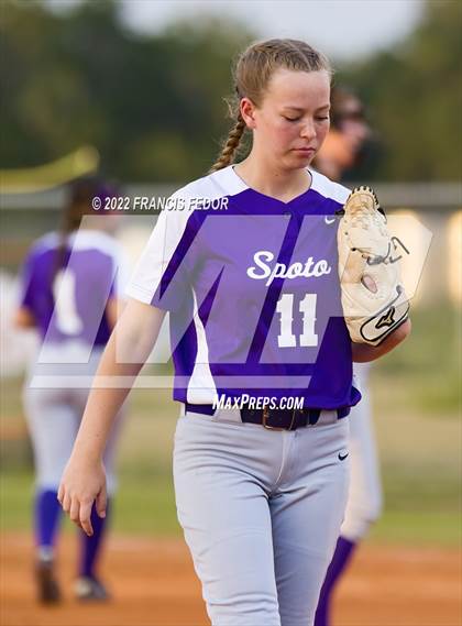 Thumbnail 3 in Spoto @ Sumner photogallery.