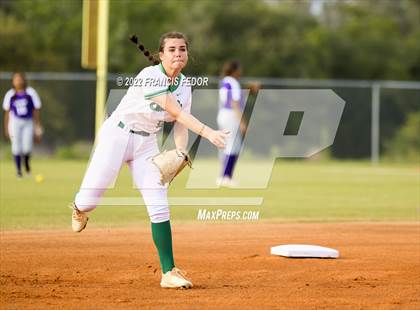 Thumbnail 1 in Spoto @ Sumner photogallery.
