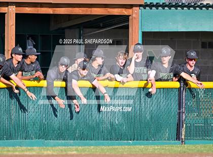 Thumbnail 2 in Regis Jesuit @ Mountain Vista photogallery.