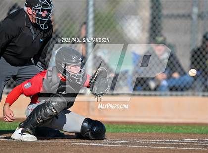Thumbnail 1 in Regis Jesuit @ Mountain Vista photogallery.