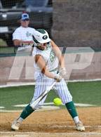 Photo from the gallery "Warner @ Gore"