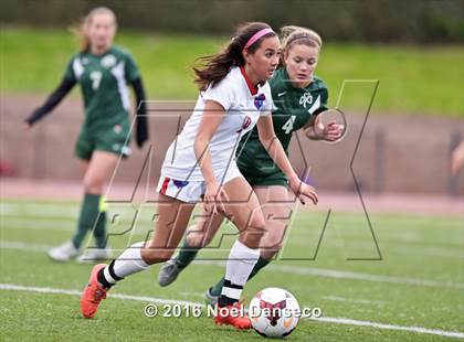 Thumbnail 1 in St. Ignatius vs. Sacred Heart Cathedral Prep photogallery.