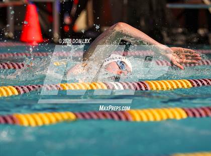 Thumbnail 2 in Vintage Swim Relay photogallery.