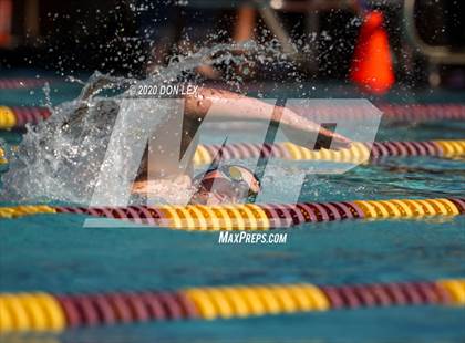 Thumbnail 2 in Vintage Swim Relay photogallery.