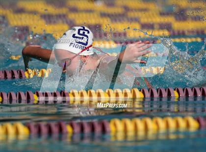Thumbnail 3 in Vintage Swim Relay photogallery.