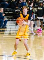 Photo from the gallery "Bishop Ireton @ Paul VI (WCAC Quater Final)"