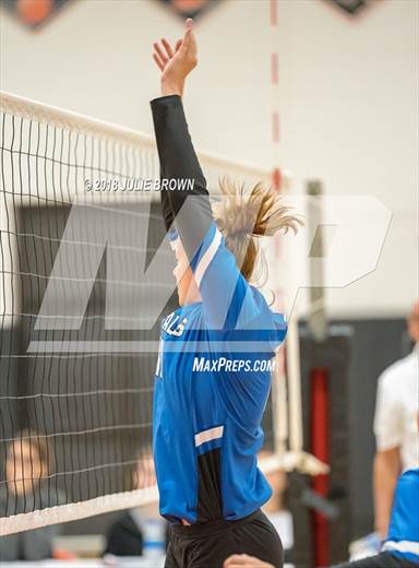null - Photo 31